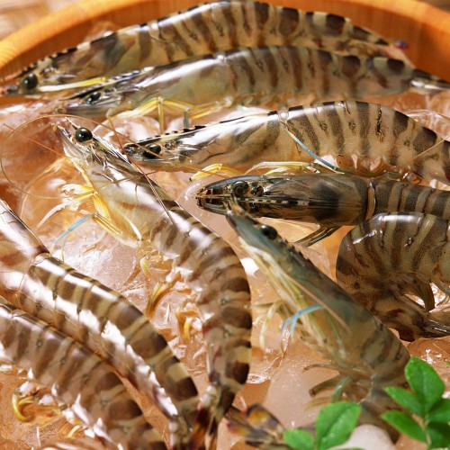 Тигровые креветки без головы